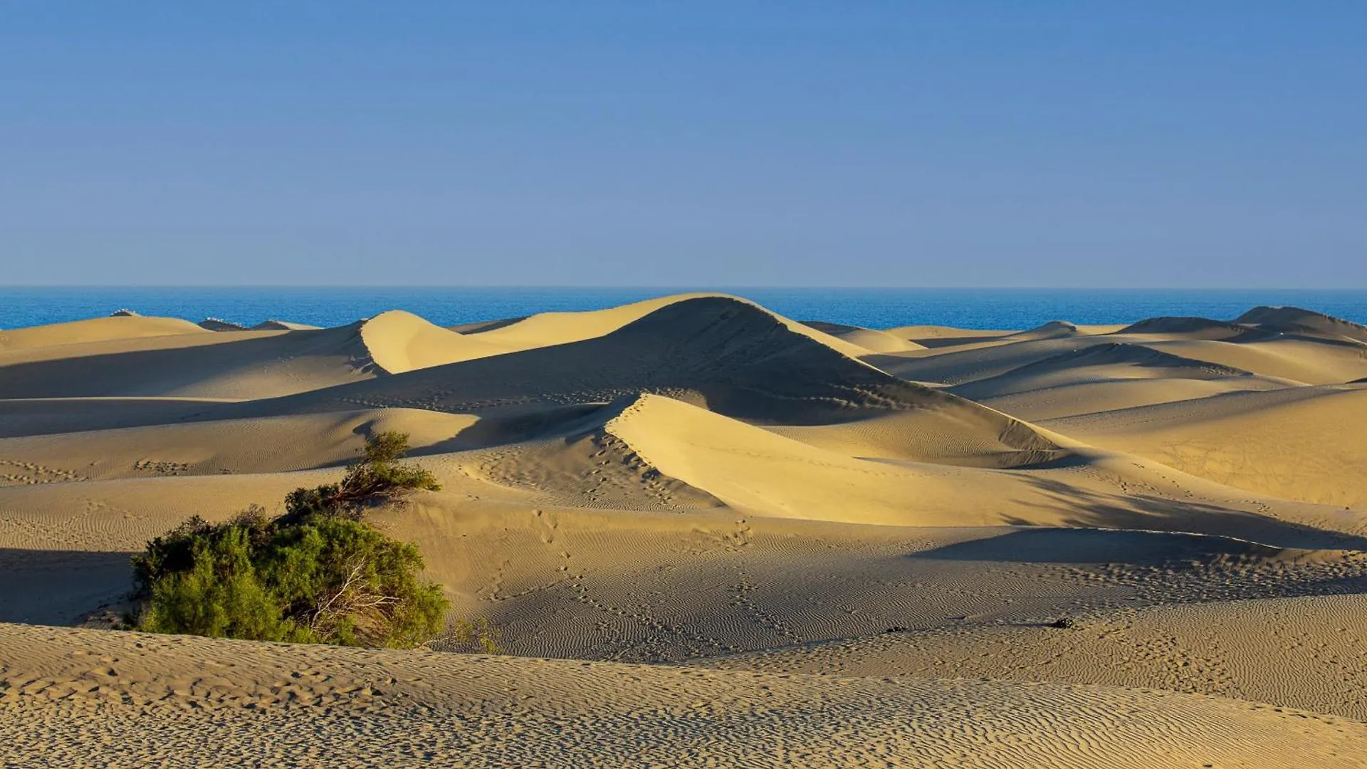 Parque Golf 9 By Pride Holiday Rentals Maspalomas  Maspalomas (Gran Canaria)